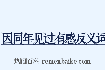 因同年见过有感反义词是什么意思的图片